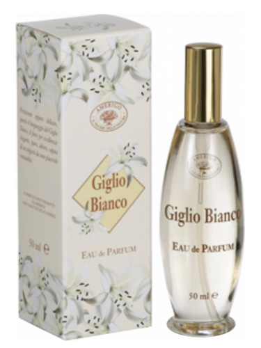 Giglio Bianco
