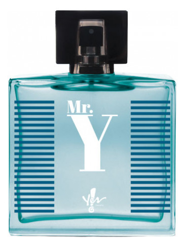 Mr. Y