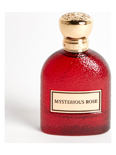 Mysterious Rose
