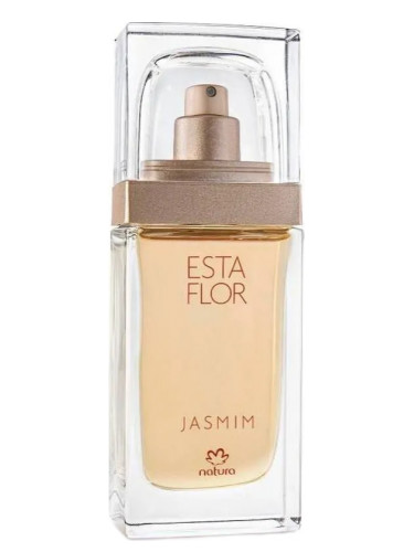 Esta Flor Jasmim
