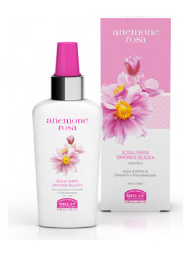 Anemone Rosa