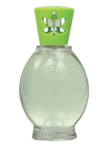 Lavanda