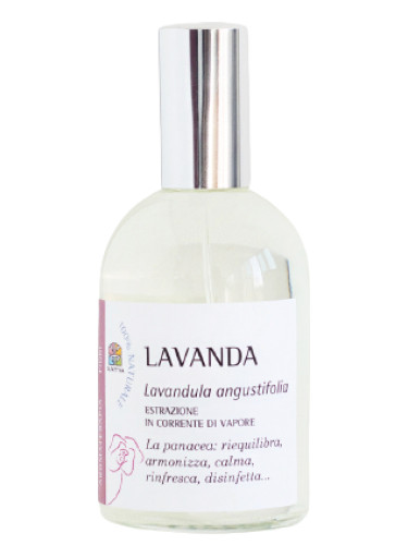Lavanda