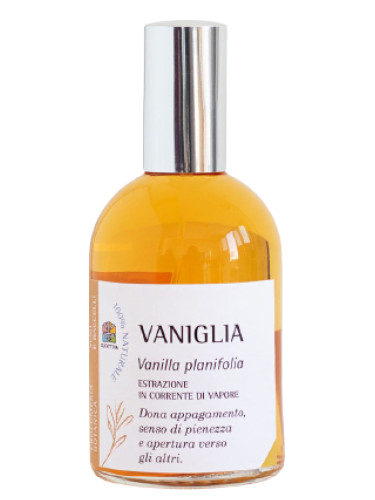 Vaniglia