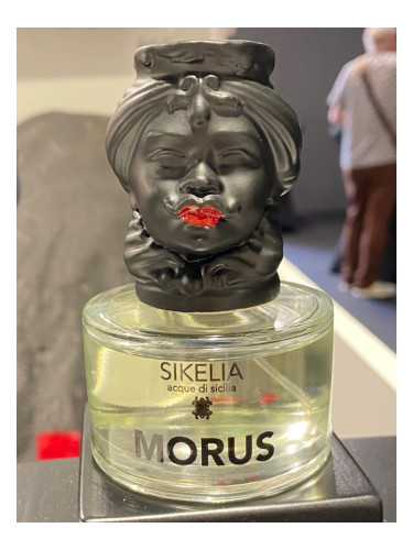 Morus