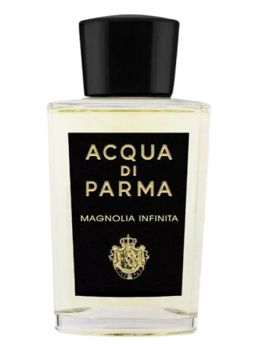 Magnolia Infinita