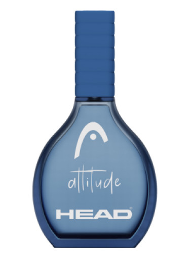 Attitude