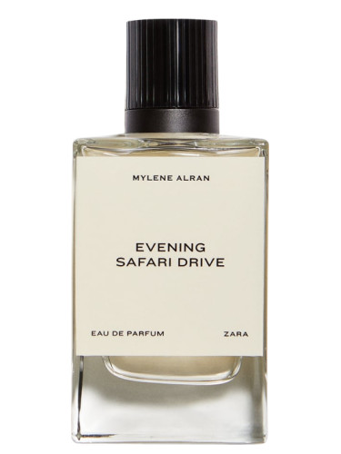 Evening Safari Drive