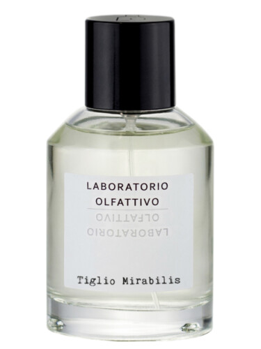 Tiglio Mirabilis