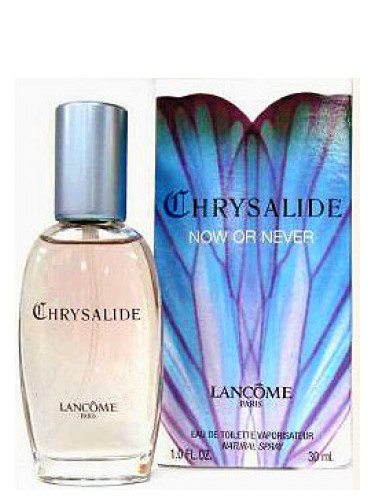 Chrysalide Now or Never