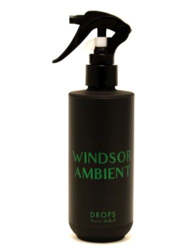 WINDSOR AMBIENT