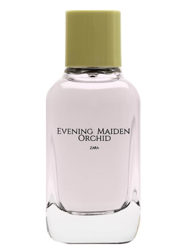 Evening Maiden Orchid
