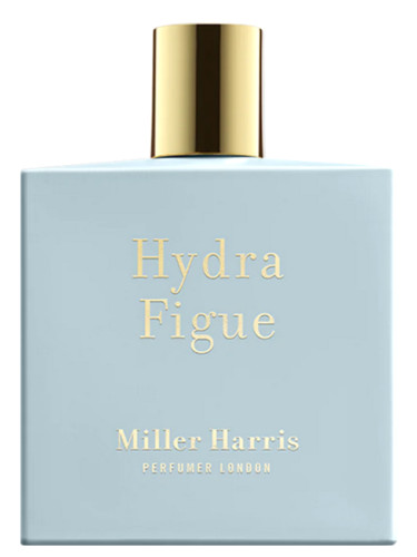 Hydra Figue