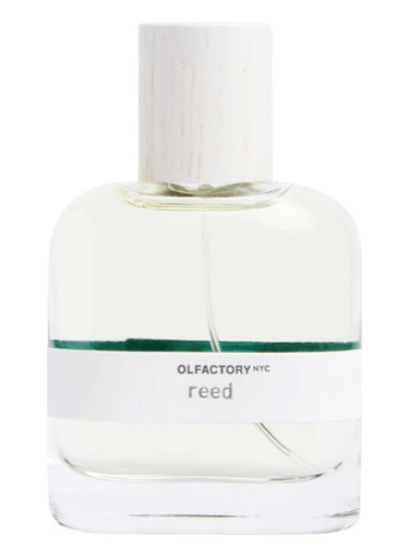 Reed