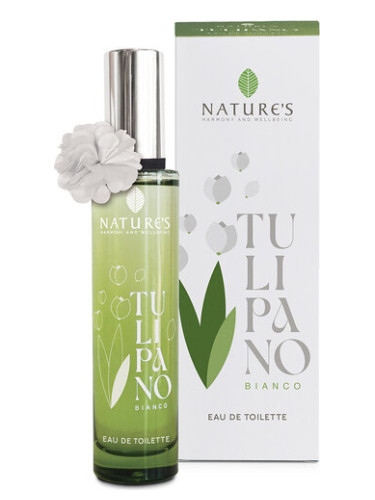 Tulipano Bianco