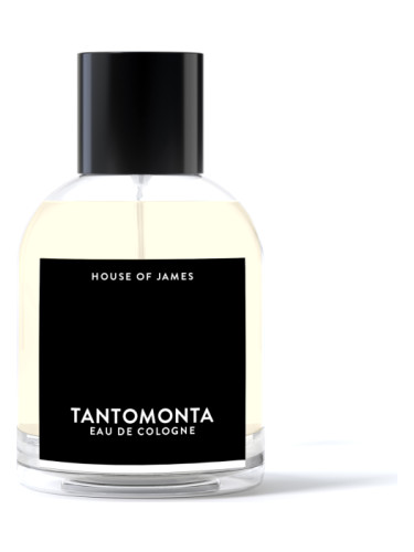 Tantomonta