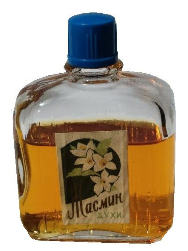Жасмин