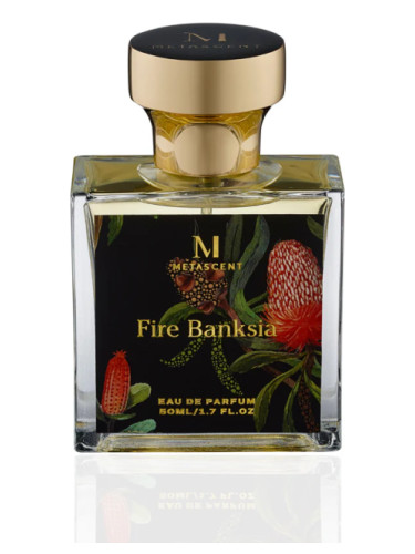 Fire Banksia