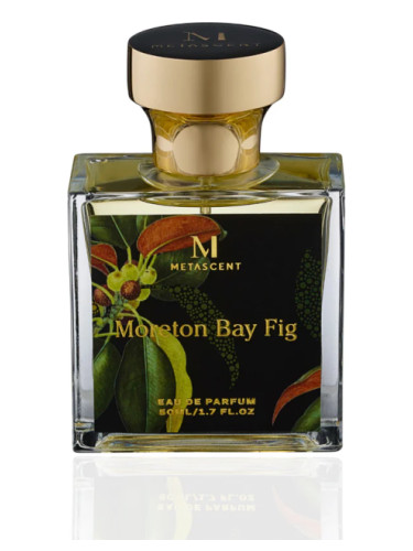 Moreton Bay Fig