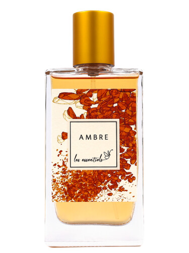 Ambre
