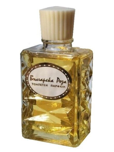 Болгарская роза (Bulgarian Rose)