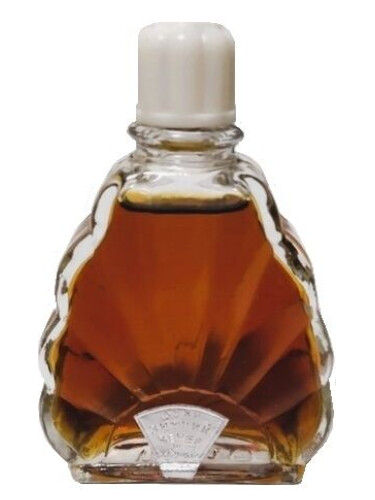 Зимний вечер